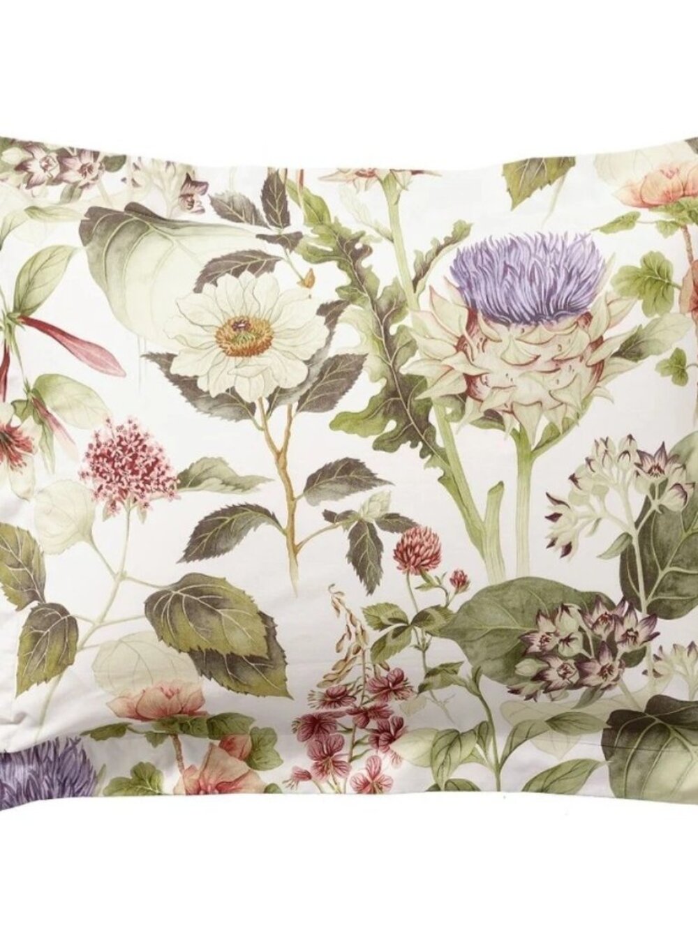 Pottery Barn Thistle Floral Percale Duvet Cover Full/Queen. 2 Euro Shams - Picture 5 of 6